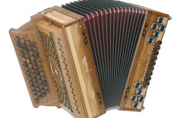steirische-harmonika-ar-50-18-dh-satin-nuss-1-563x40042A7CB64-4E93-EAA5-7040-211707E55911.jpg