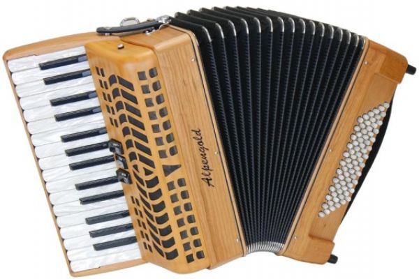 akkordeon-alpengold-mini-727-1-563x4005DAEDE9C-CFD8-3309-A33A-69170FD8435A.jpg