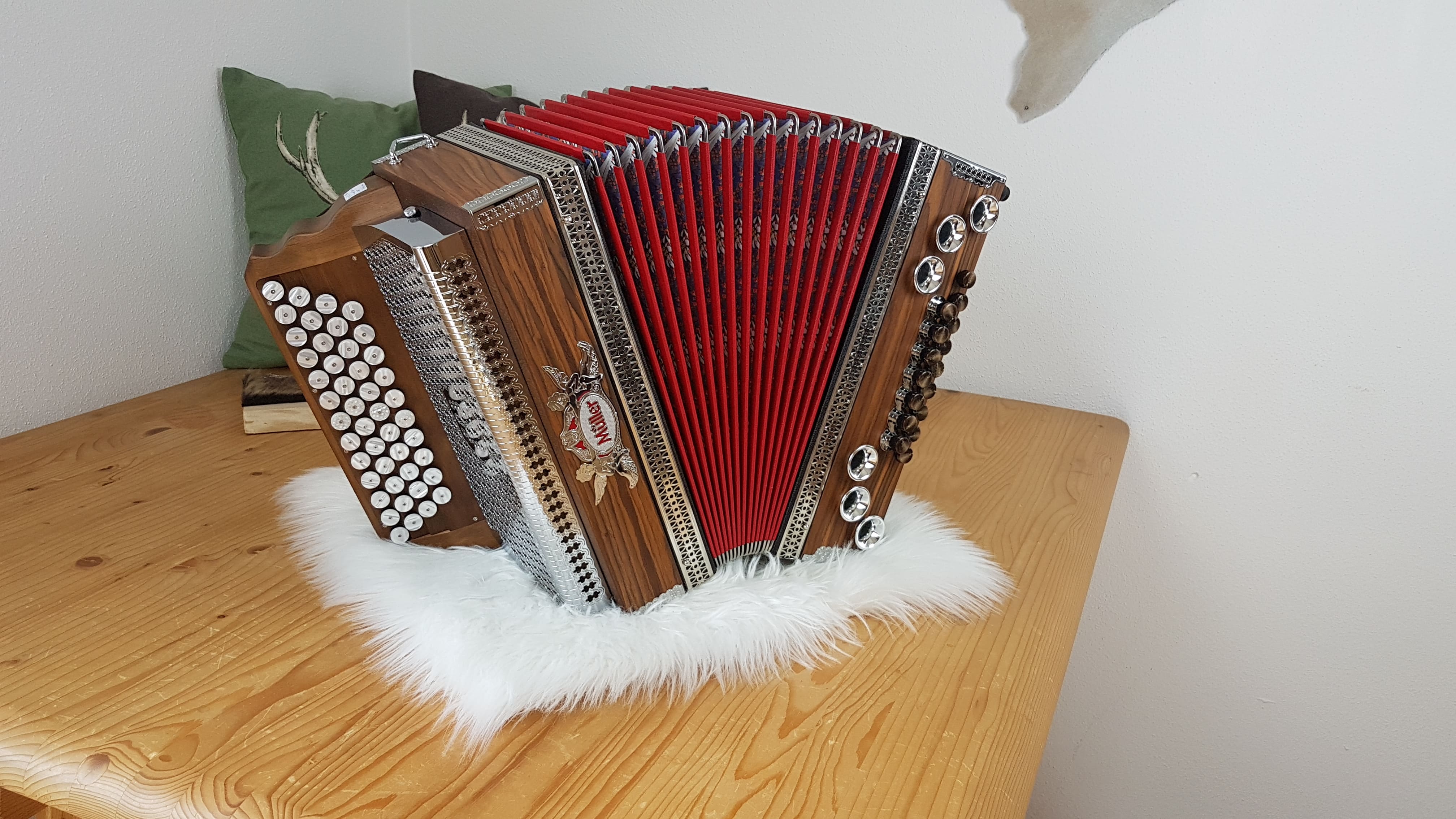 Müller Palisander